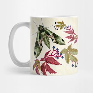 Virginia Creeper Sphinx Mug